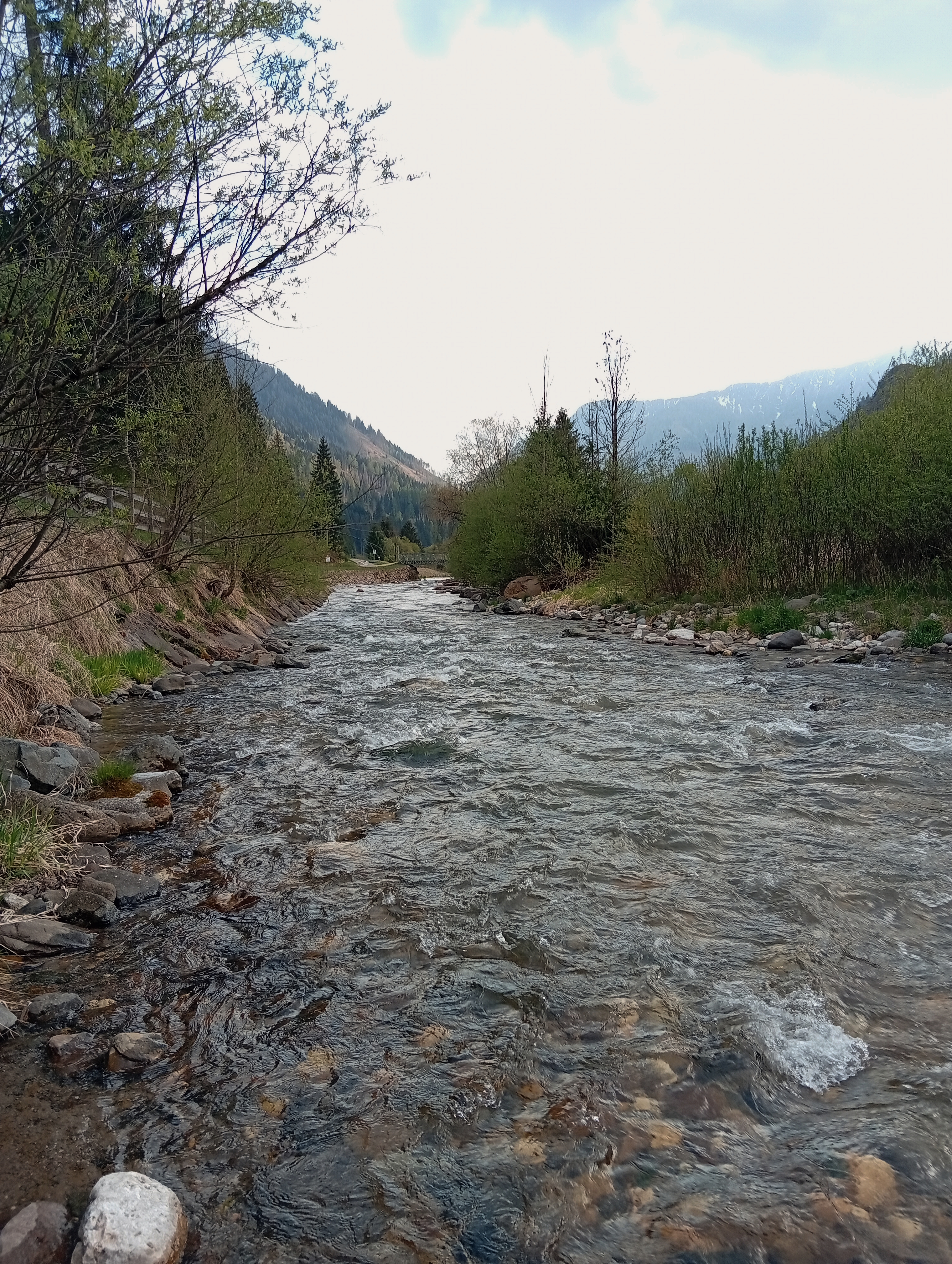 Fly Fishing
