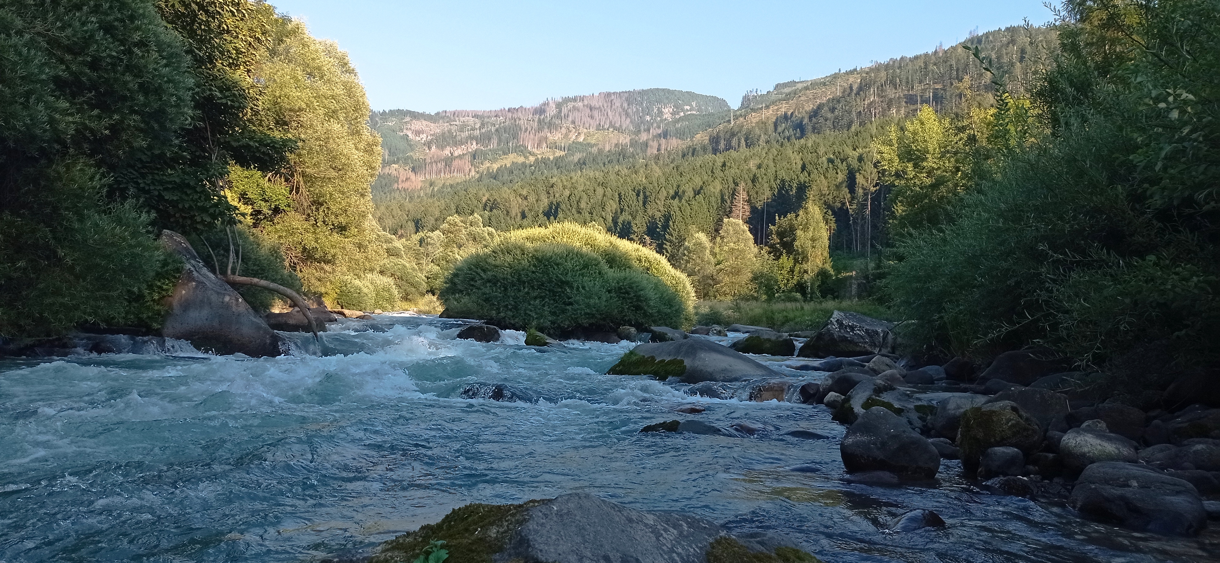 Pescatore a mosca sul Fiume Avisio nella Val di Fiemme