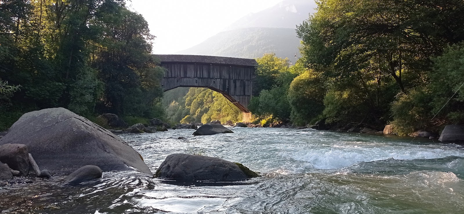 Il Fiume Avisio nella Val di Fiemme circondato da boschi di abete