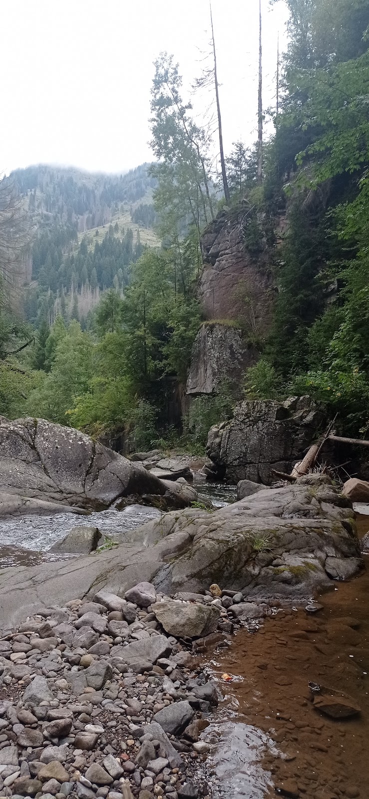 Il Torrente Travignolo nella Foresta di Paneveggio con acque cristalline
